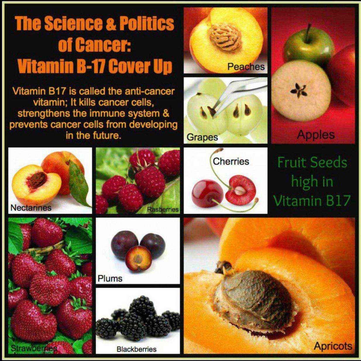 photo_2025-03-11_02-15-44 (3).jpg