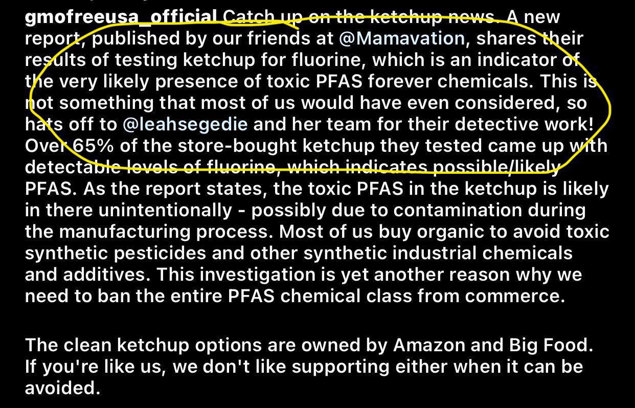 photo_2024-11-20_05-09-37 (2).jpg