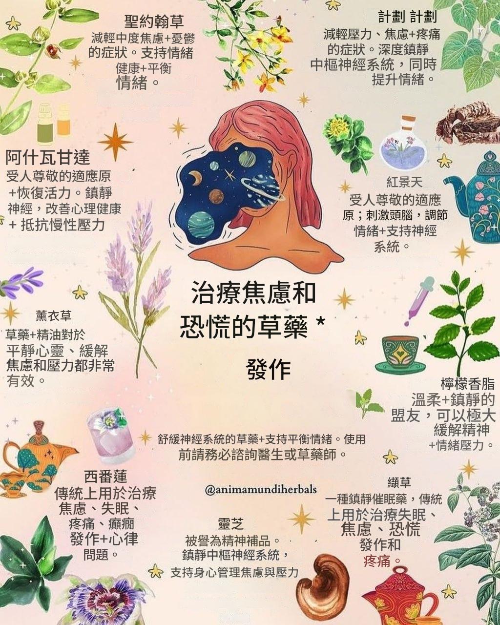 photo_2025-07-26_05-45-45 (1).jpg