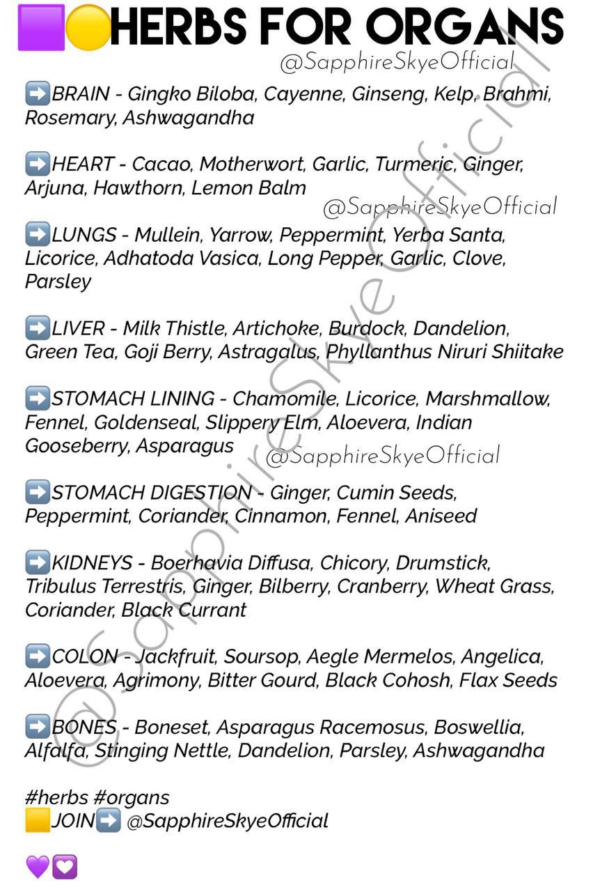 photo_2025-08-29_20-13-35 (2).jpg